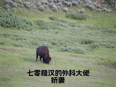 沈安安（七零糙汉的外科大佬娇妻）小说结局-沈安安全文无弹窗阅读