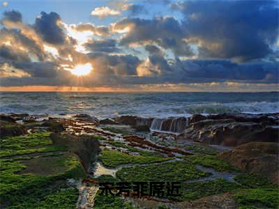 宋芳菲席近满分热推小说 -席近宋芳菲宋芳菲席近小说全本已完结