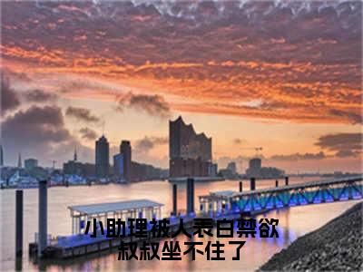 小助理被人表白禁欲叔叔坐不住了在线阅读（夏之遥沈砚辞）全文免费阅读无弹窗大结局_夏之遥沈砚辞最新章节列表笔趣阁（小助理被人表白禁欲叔叔坐不住了）