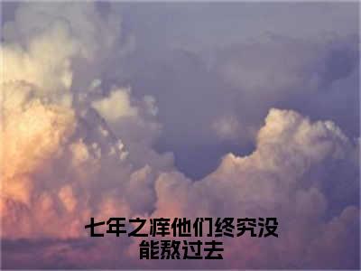 小说唐念顾司岸全文免费阅读无弹窗大结局-七年之痒他们终究没能熬过去在线阅读