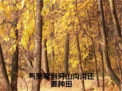 （气哭穿到穷山沟沟还要种田抖音小说）王桃花小说全文阅读免费（结局）+（免费）