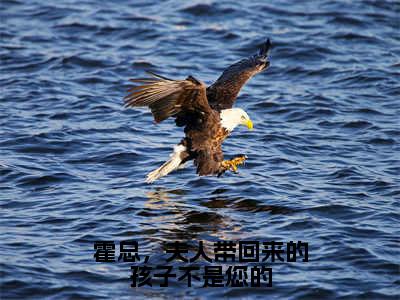 霍一珩庄嘉宁（霍总，夫人带回来的孩子不是您的）全文免费阅读无弹窗大结局_（霍总，夫人带回来的孩子不是您的小说免费阅读）_笔趣阁