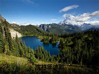 沐歆沈衿年精彩小说-沈衿年沐歆全章节免费阅读