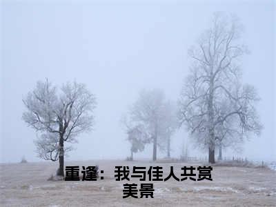 程清玙梁书媞精选热门小说重逢：我与佳人共赏美景已完结全集大结局