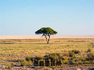 萧鼎墨芸景（萧鼎墨芸景）小说无删减版免费阅读-萧鼎墨芸景精彩章节推荐阅读