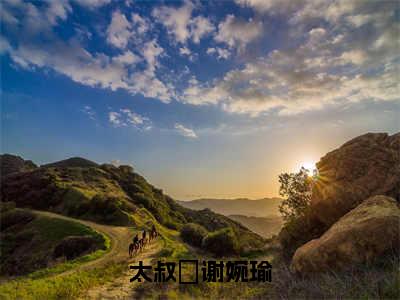 太叔瑱谢婉瑜小说最新试读_（太叔瑱谢婉瑜免费阅读最新章节列表）_笔趣阁