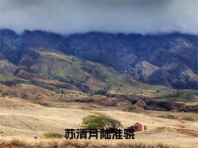 陆淮骁苏清月精彩小说-苏清月陆淮骁全章节免费阅读