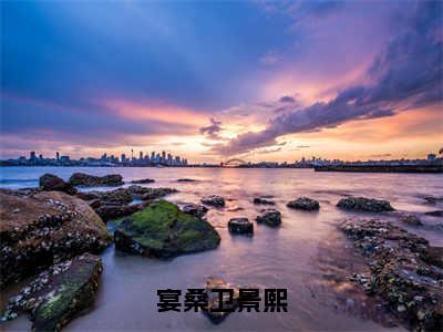 宴桑卫景熙长篇免费小说，宴桑卫景熙最新章节在线阅读