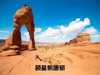 顾星帆唐郁免费阅读（唐郁顾星帆）完整版全文全章节阅读