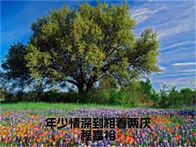 嵇绍莹程嘉裕（年少情深到相看两厌程嘉裕）全文免费阅读无弹窗大结局_嵇绍莹程嘉裕最新章节列表_笔趣阁（年少情深到相看两厌程嘉裕）