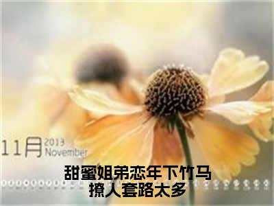 甜蜜姐弟恋年下竹马撩人套路太多（池夏邵则延）全文免费阅读无弹窗大结局_（甜蜜姐弟恋年下竹马撩人套路太多）已完结全集大结局小说