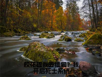 （校花骗我去缅甸？我开启死士系统）林辰小说小说全文免费林辰读最新章节列表笔趣阁（校花骗我去缅甸？我开启死士系统）