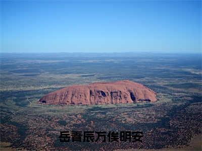 岳青辰万俟明安小说免费阅读（岳青辰万俟明安）全文免费阅读大结局-（岳青辰万俟明安小说免费阅读）好书推荐