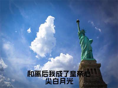 徐晚凝和离后我成了皇帝心尖白月光免费阅读无弹窗小说徐晚凝最新章节