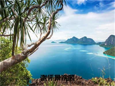 谢怀景沈颜（沈颜谢怀景）完整版全文在线赏析-谢怀景沈颜精彩美文摘抄