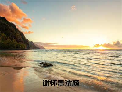 沈颜谢怀景谢怀景沈颜免费小说-谢怀景沈颜（沈颜谢怀景）已更新最新章节