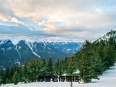 傅宗铭苏雪君小说完整版阅读-小说苏雪君傅宗铭全文免费阅读