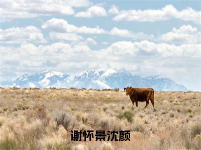 谢怀景沈颜小说全文免费阅读-（沈颜谢怀景）抖音新书热荐谢怀景沈颜全文免费阅读