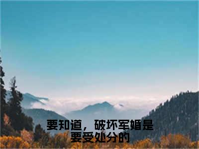 要知道，破坏军婚是要受处分的（江彦词夏唯安）全文免费阅读无弹窗大结局_江彦词夏唯安免费最新章节列表_笔趣阁