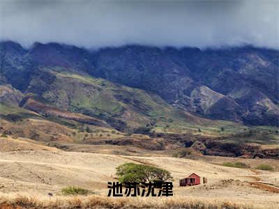 池苏沈津最新章节（沈津池苏）全文免费阅读无弹窗大结局_沈津池苏免费阅读