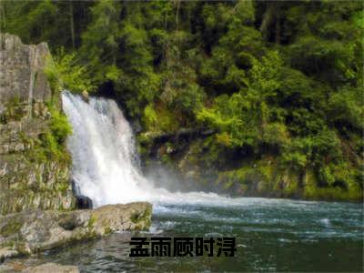 孟雨顾时浔在线阅读（顾时浔孟雨）全文免费阅读无弹窗大结局_顾时浔孟雨免费最新章节列表