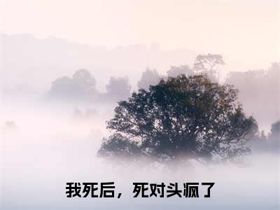 我死后，死对头疯了（姜玥陆恒之）全文免费阅读无弹窗大结局_我死后，死对头疯了完本小说最新章节阅读