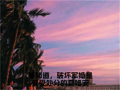 要知道，破坏军婚是要受处分的夏唯安（江彦词夏唯安）全文免费阅读无弹窗-江彦词夏唯安小说完整版在线阅读