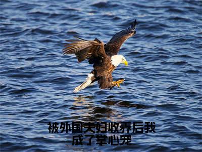 被外国夫妇收养后我成了掌心宠小说（张蔚秦媛）全文免费阅读无弹窗大结局_张蔚秦媛最新章节列表（张蔚秦媛）