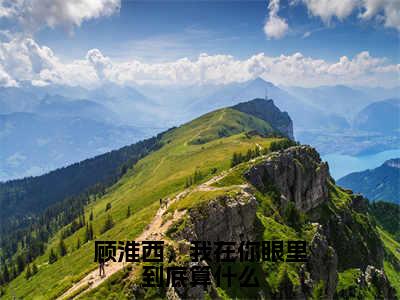 顾淮西，我在你眼里到底算什么（顾淮西夏予沫）免费阅读_顾淮西夏予沫小说免费阅读-笔趣阁