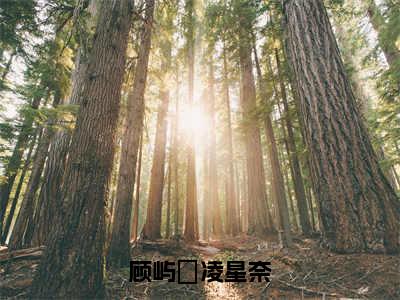 顾屿堔凌星奈全文免费在线阅读_（顾屿堔凌星奈免费阅读无弹窗）凌星奈顾屿堔全文免费完结版阅读（顾屿堔凌星奈）