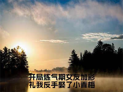 （徐明浩）小说全文免费阅读_徐明浩（开局炼气期女友加彩礼我反手娶了小青梅）最新章节热文在线阅读