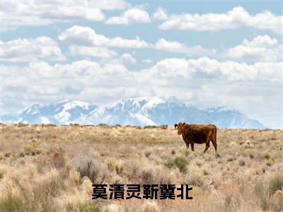 莫清灵靳冀北（靳冀北莫清灵）免费阅读完整版-（莫清灵靳冀北小说）靳冀北莫清灵全文大结局已完结