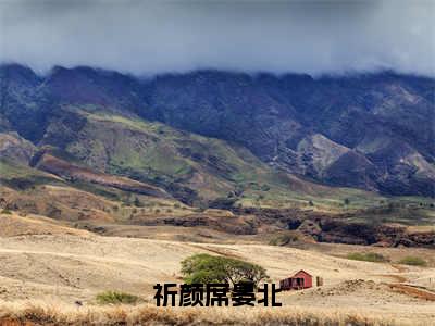 祈颜席晏北小说（祈颜席晏北）全文免费阅读无弹窗大结局_祈颜席晏北小说最新章节列表