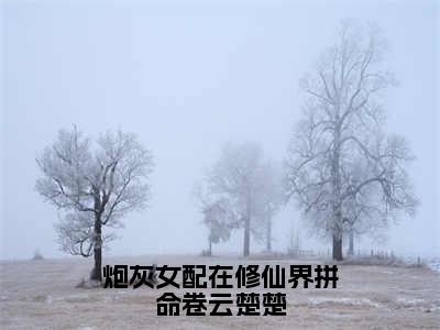 炮灰女配在修仙界拼命卷云楚楚（云楚楚）全文免费阅读无弹窗大结局_（云楚楚免费阅读全文大结局）最新章节列表