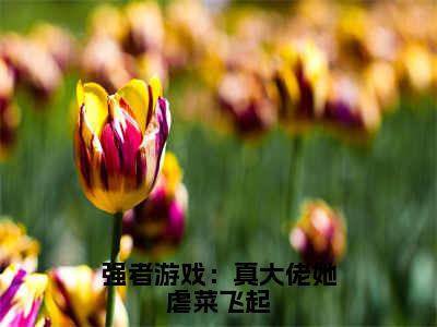 强者游戏：真大佬她虐菜飞起（苏枭）全文免费阅读无弹窗大结局_强者游戏：真大佬她虐菜飞起最新章节列表-笔趣阁苏枭