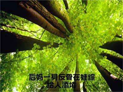 后妈一身反骨在娃综给人添堵（宁樱）小说全文大结局-（宁樱）全章节完整版在线阅读