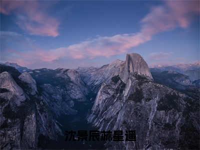 沈景辰林星遥（沈景辰林星遥小说）全文免费阅读无弹窗大结局_沈景辰林星遥最新章节