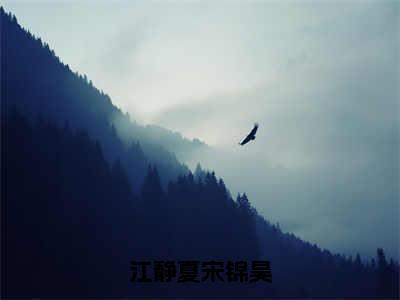 江静夏宋锦昊（宋锦昊江静夏）全本完整版免费阅读_（江静夏宋锦昊）宋锦昊江静夏全文章节目录_笔趣阁