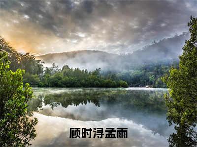 孟雨顾时浔（顾时浔孟雨）全文免费阅读-小说顾时浔孟雨最新章节阅读笔趣阁