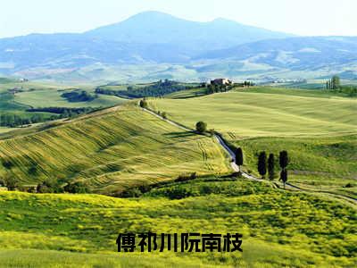 傅祁川阮南枝全文免费阅读无弹窗大结局_（阮南枝傅祁川）傅祁川阮南枝小说免费阅读完整版全文大结局