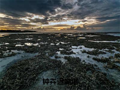 钟卉迟高湛（钟卉迟高湛）免费阅读_钟卉迟高湛小说免费阅读-笔趣阁