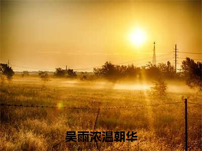 吴雨浓温朝华（温朝华吴雨浓）全文免费阅读_吴雨浓温朝华（温朝华吴雨浓）最新章节小说免费阅读