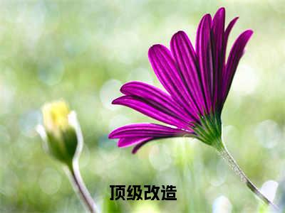 顶级改造小说最新章节-江齐全文免费阅读无弹窗大结局