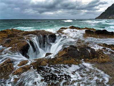 心有不轨（辛情陈京墨）小红书热荐小说-心有不轨女生爱看的小说全集资源