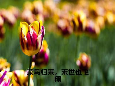 左灵裴楠生小说（菜鸟归来，末世也飞翔）全文免费阅读无弹窗大结局_菜鸟归来，末世也飞翔最新章节列表_笔趣阁（左灵裴楠生）