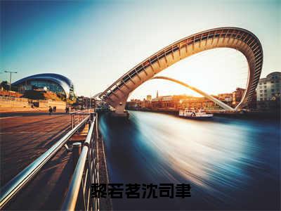 沈司聿黎若茗全文免费大结局-黎若茗沈司聿结局在线阅读