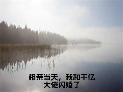 相亲当天，我和千亿大佬闪婚了全文免费阅读大结局_相亲当天，我和千亿大佬闪婚了（傅云深安暖）完整版在线赏析