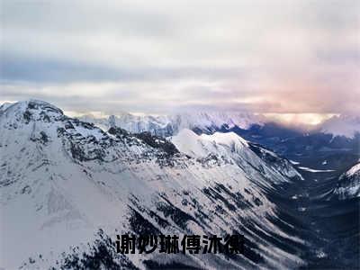 谢妙琳傅沐衡（傅沐衡谢妙琳）小说免费阅读-谢妙琳傅沐衡（傅沐衡谢妙琳）已完结全集大结局小说