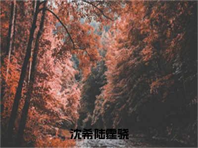 沈希陆霆骁（沈希陆霆骁）热门小说盘点在线阅读-沈希陆霆骁小说无弹窗