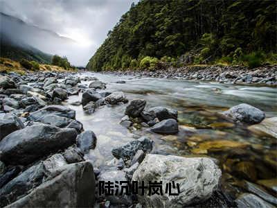 叶岚心陆沉（陆沉叶岚心）全文免费阅读无弹窗大结局_（陆沉叶岚心无弹窗）全文完整版免费阅读